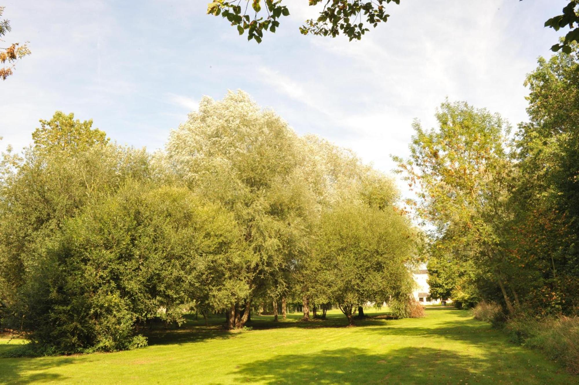 Logis Hotel Le Relais Du Moulin Valençay エクステリア 写真