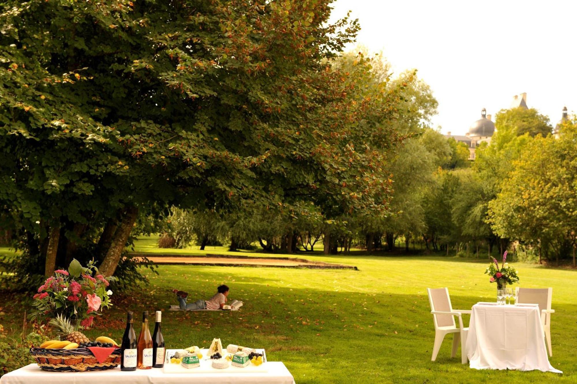 Logis Hotel Le Relais Du Moulin Valençay エクステリア 写真